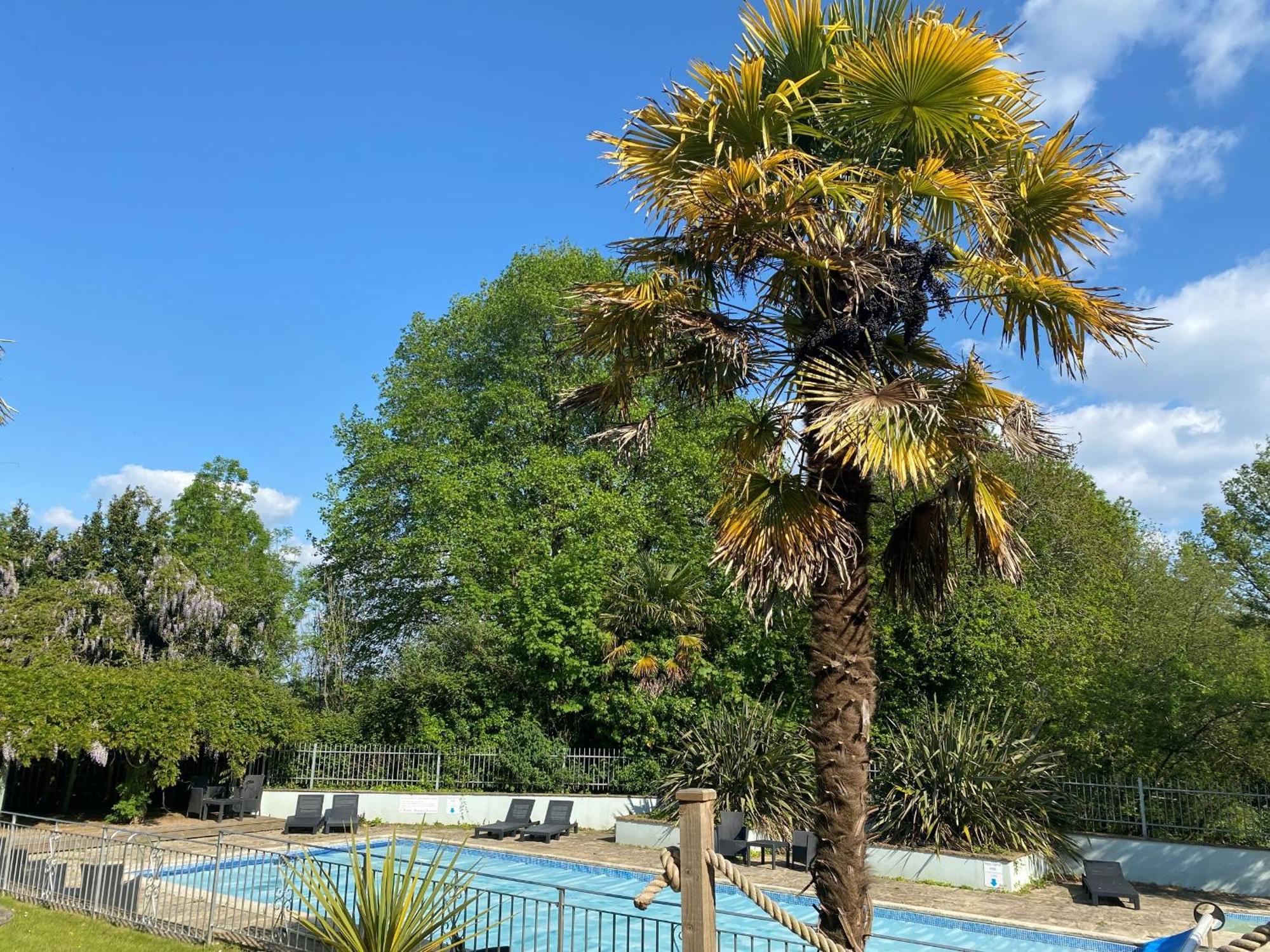 Fernhill Hotel Lyme Regis Zewnętrze zdjęcie
